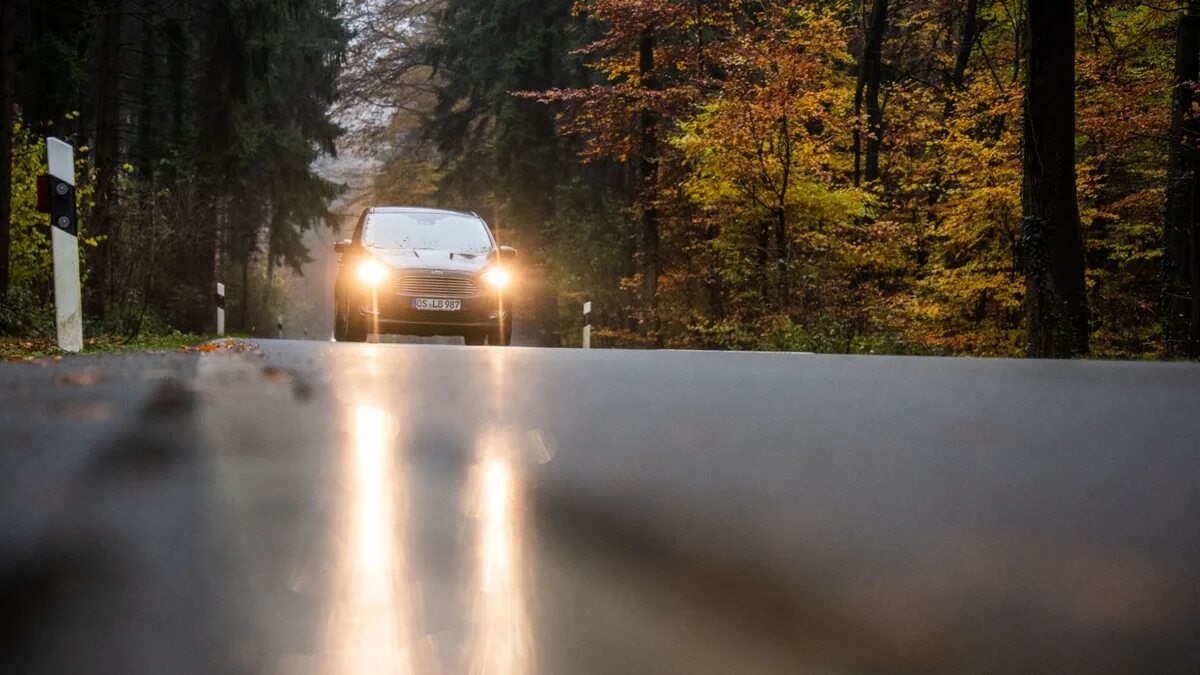 М5 асфальт осень. Дорога дождь. Осенние опасности на дороге. Жесткие погодные условия на дороге. Улица асфальт осенью.