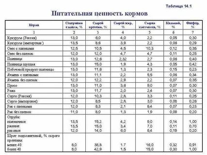 Белок в комбикормах