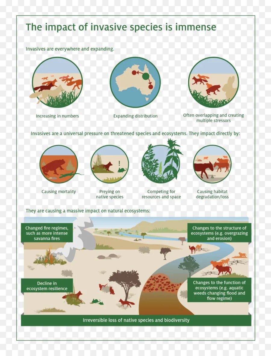 Habitat картинка. Biodiversity loss is. The natural habitats of many species. Animals losing homes. The natural habitats of many species.