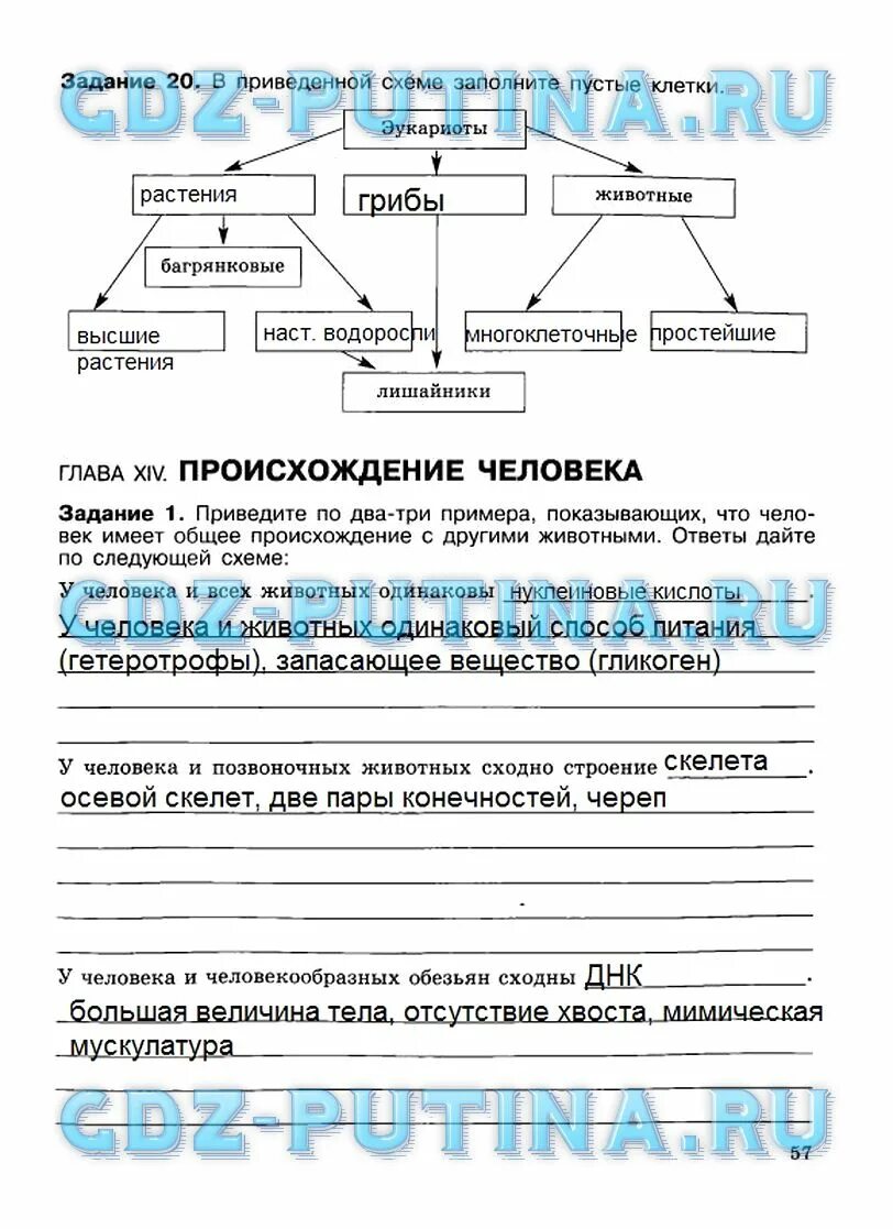 Тетрадь по биологии 10 класс решебник. Тетрадь по биологии 10 класс решебник
