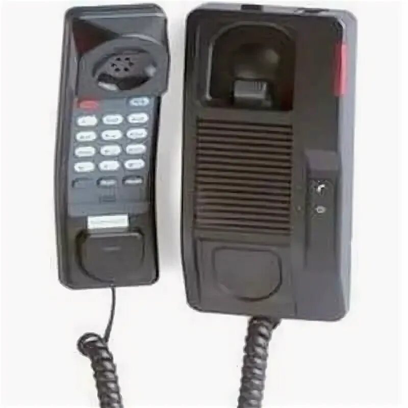 H 229