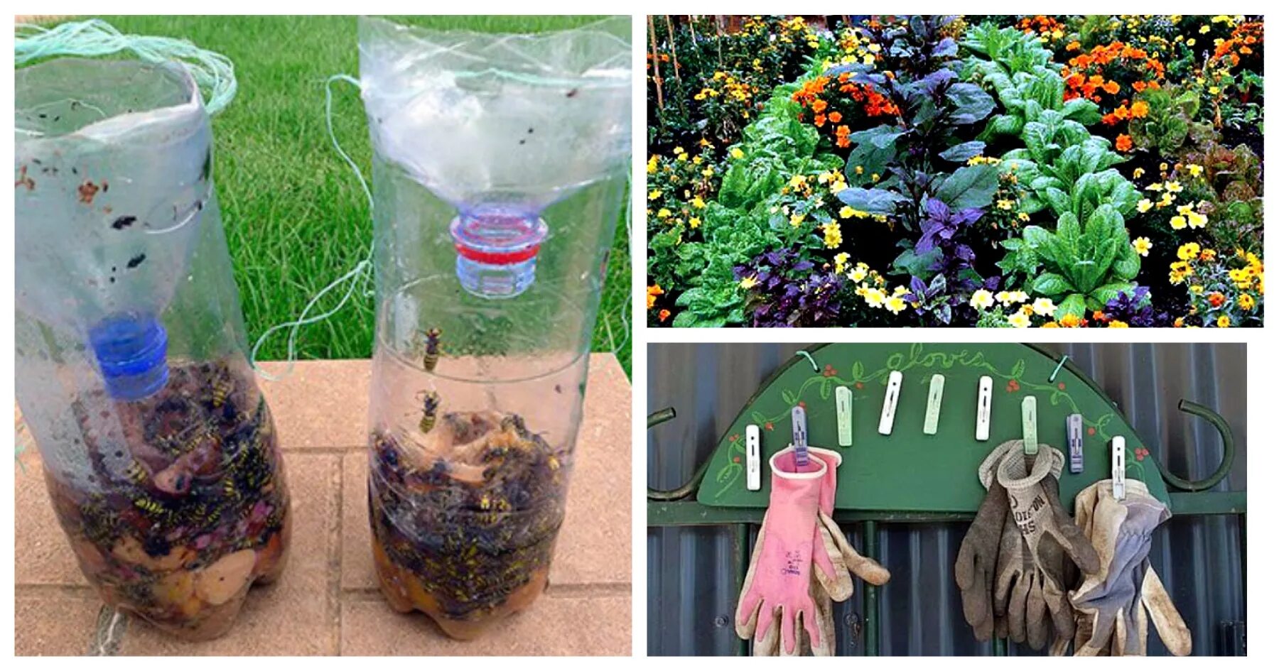 Сад и огород советы. Товары для сада и огорода. Полезные советы для дачников садоводов и огородников. Советы огородникам. Грядки на огороде советы дачникам и огородникам.