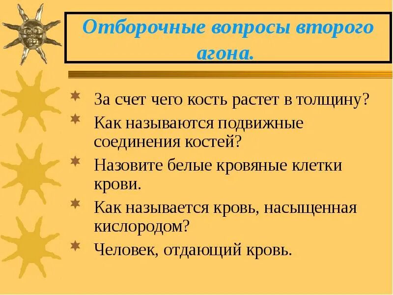 За счет чего растет кость. За счет чего мы растем. За счет чего кость растет в толщину. Засчёт или за счёт.