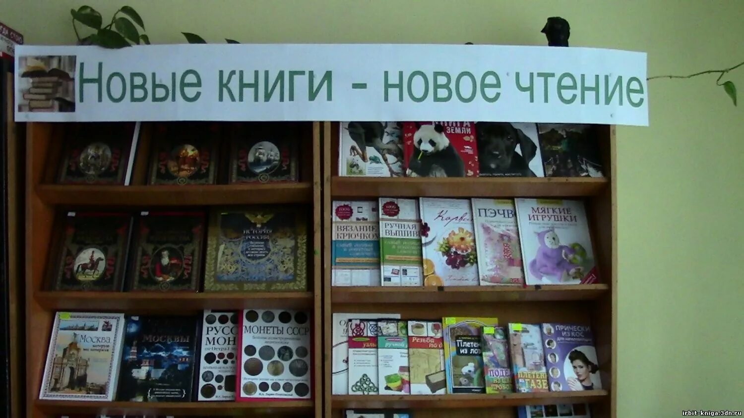 Кн выставки в библиотеке. Книжная выставка новинки книг в библиотеке. Название выставки новых книг. Книжная выставка новые книги в библиотеке. Выставка новых книг в библиотеке.