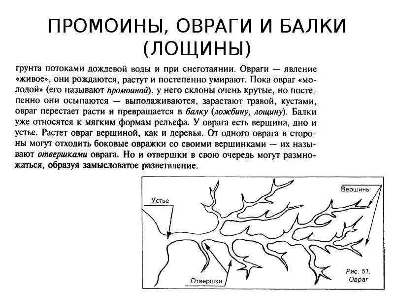 Причины образования оврагов. Строение оврага. Загадка про равнину. Причины образования оврагов и балок. Овраги и балки.
