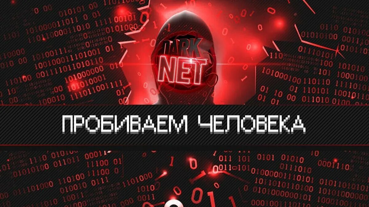 Пробив человека. Пробив данных. Бот для пробива по номеру телефона