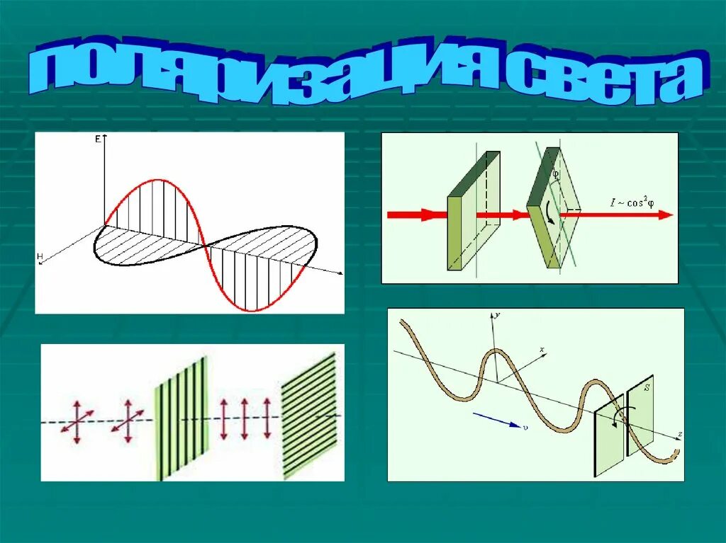 Поляризация рисунок. Поляризованный свет физика. Поляризация света рисунок. Поляризация световых волн. Поляризация света физика.