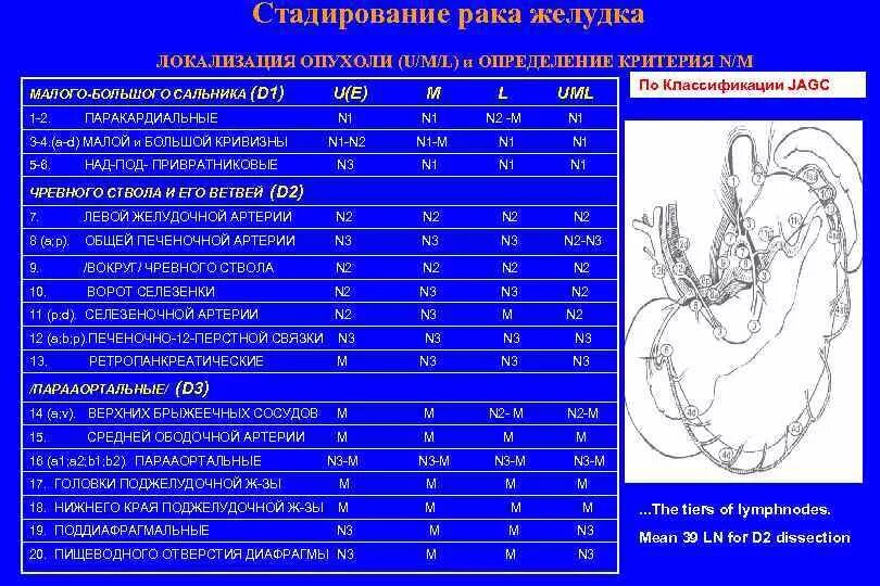 Объемы опухоли. Стадирование опухолей. Опухоль желудка Размеры. Стадирование в онкологии. Размер раковой опухоли желудка.