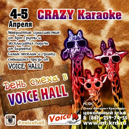 Крейзи караоке. Зажигалка клуб crazy меню. Крейзи караоке. Крейзи караоке. Крэйзи караоке люберцы.