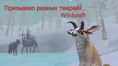 Мифы в вилд