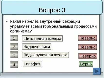 Какая из перечисленных желез