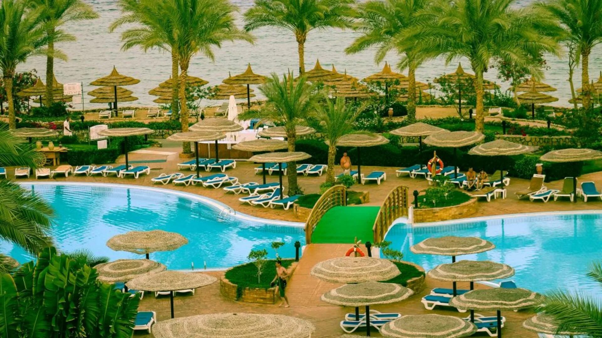 Charmillion отель египет. Royal grand sharm 5. отель sunrise arabian beach resort 5 шарм-эль-шейх. 16+ 5 шарм-эль-шейх. отели египта шарм эль шейх 5 звезд.