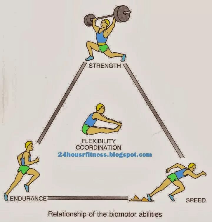 Построй фигуру своей мечты. Benefits of physical Fitness diagram. Фитнес шагометр рекорды. Power Speed flexibility Endurance dexterity.