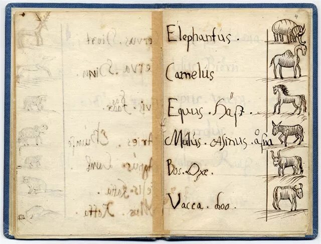 Как выучить латинский язык. Латинский алфавит таблица с произношением. Латынь для медиков. Латинский алфавит таблица с произношением. Как выучить латинский язык.