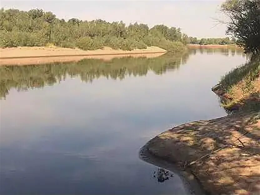 Солодовка деревня. Село солодовка волгоградская область. Озеро солодовка самарская область. Село солодовка волгоградская область. Погода волгоградская область с солодовка.