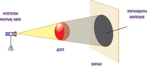 Трусикидегі транссексуалдардың суреттері