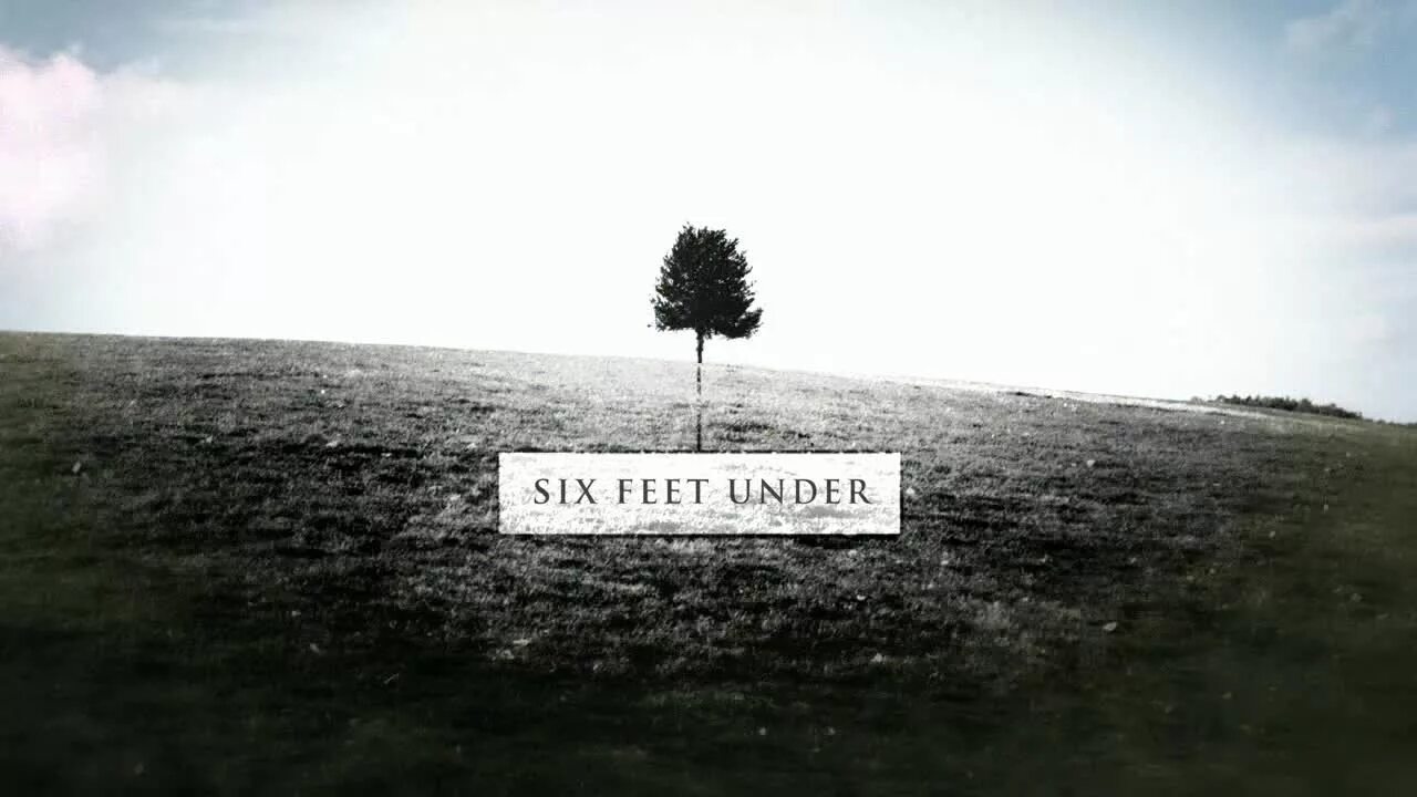 Under title. Six feet under. six feet under logo. six feet under постер. six feet under дерево.