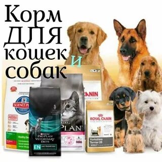 Котобака интернет магазин мурманск