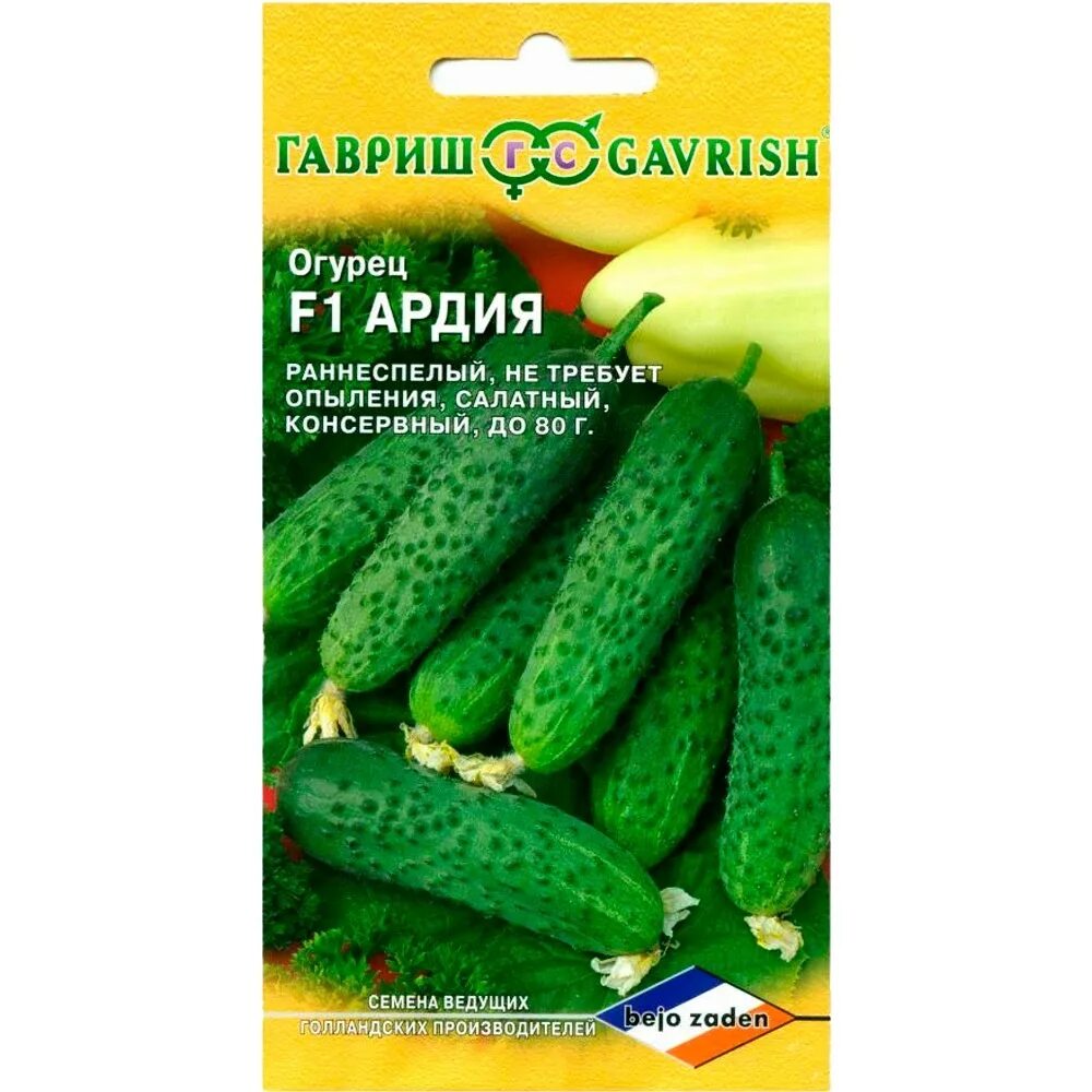 Огурцы сорт гавриш. Огурец ардия f1. огурец ардия f1 (голландия). огурец эколь f1 гавриш (голландия). огурец московский салатный f1.