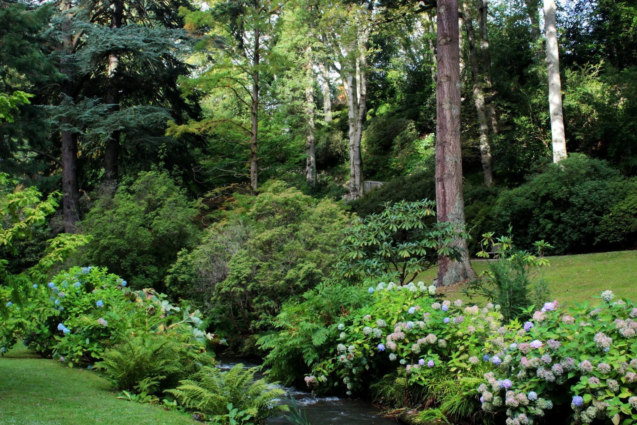 Uk parks. Заросший парк с кустами. Кустарники в парке. Парки с кустами. Парк кусты.