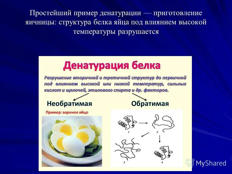 Процессы денатурации белка. Денатурация белков. Денатурация белка. Обратимая и необратимая денатурация белка. Процесс денатурации белков.