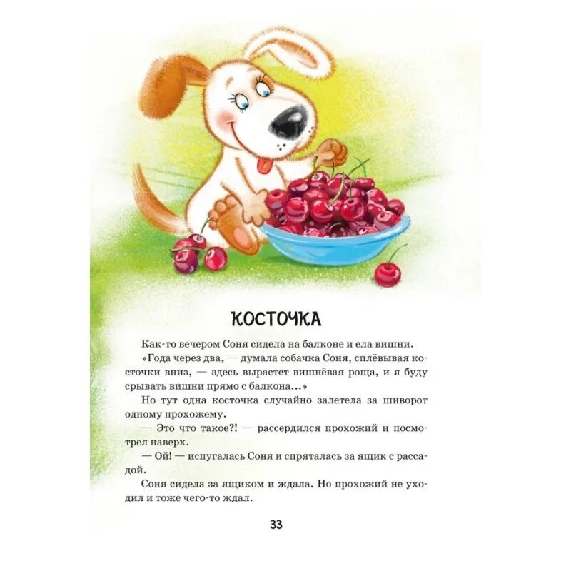 Рассказы умная собачка. Книга усачев умная собачка соня. умная собачка соня иллюстрации к книге. книжка умная собачка сон. умная собачка соня косточка.