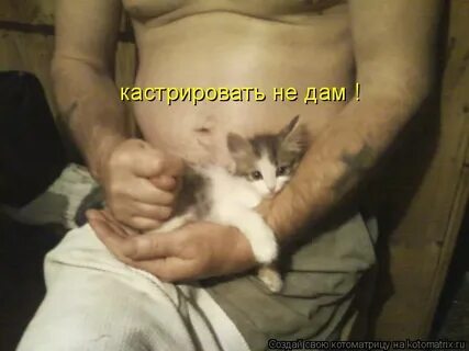 Меня кастрировали