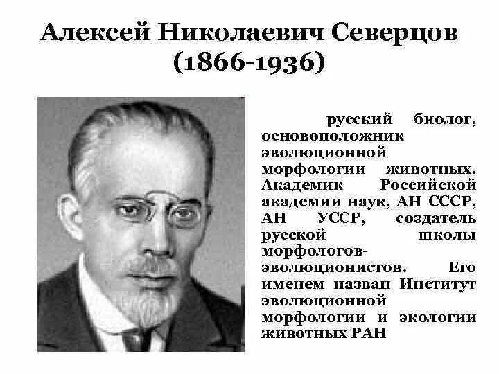 Н а северцев. Н а северцев