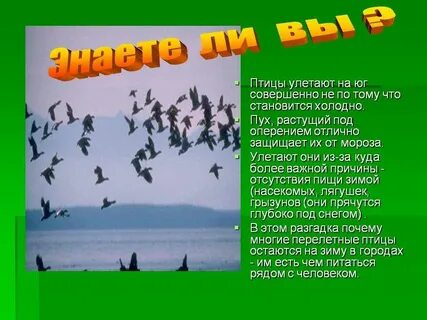 Птицы улетают это словосочетание