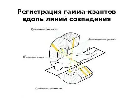 Гамма без регистрации