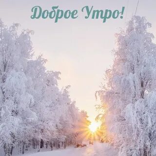 С морозным утром декабря картинки