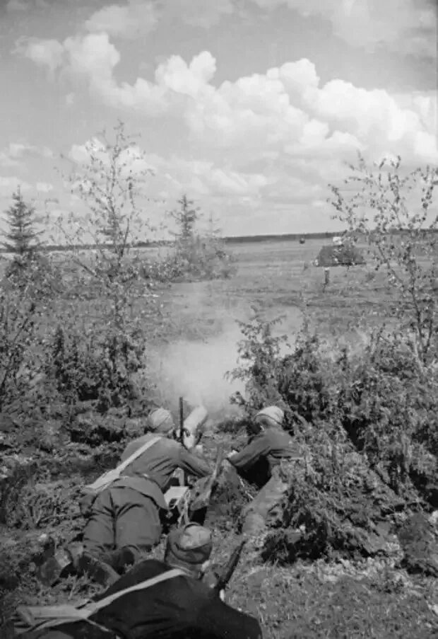 Ржев болота. Ржевская битва 1941. Ржев 1942 битва.