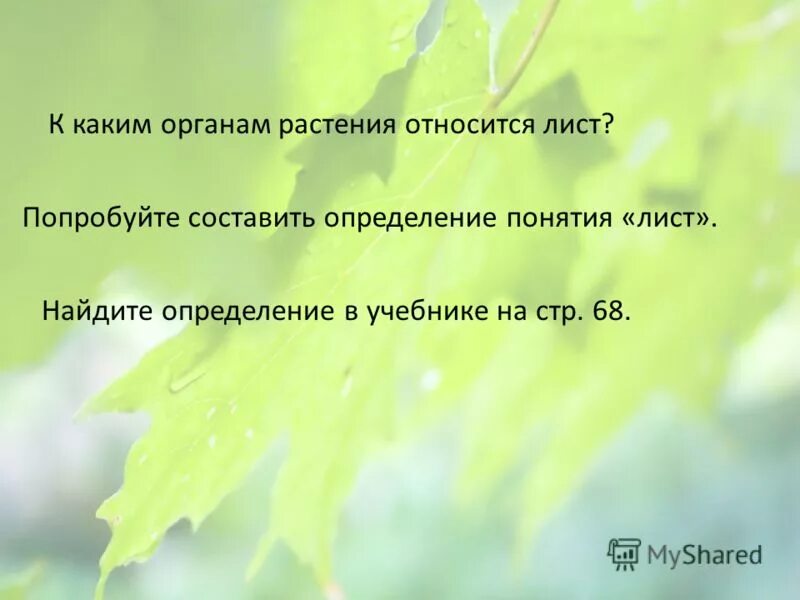 генеративные органы растений строение и функции. к каким органам относится лист. формула тюльпана по биологии 6 класс. к каким органам относится лист. сетчатое параллельное и дуговое жилкование.