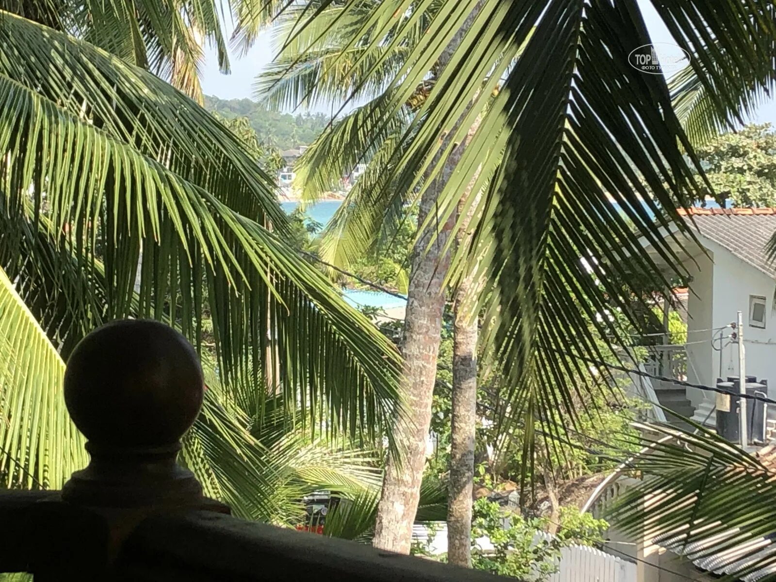 Kaju green шри ланка отель. Фото no name rest 3*. No name rest. Swiss lanka guesthouse. Фото no name rest 3*.