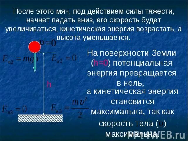 Под действием какой силы направленной. Силы действующие на мяч. потенциальная энергия тела вблизи поверхности земли. потенциальная энергия под действием силы тяжести. ускорение силы тяжести при ударе по мячу.