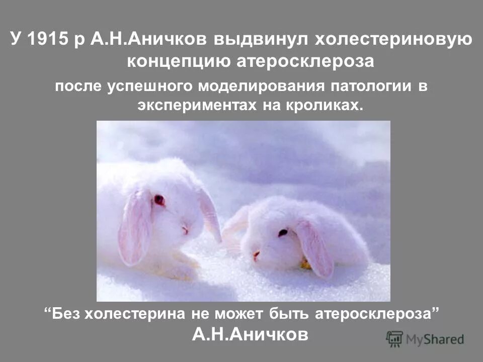 Аничков атеросклероз. Аничков николай николаевич. Современная гипотеза атеросклероза. Н н аничков вклад в медицину. Аничков атеросклероз.
