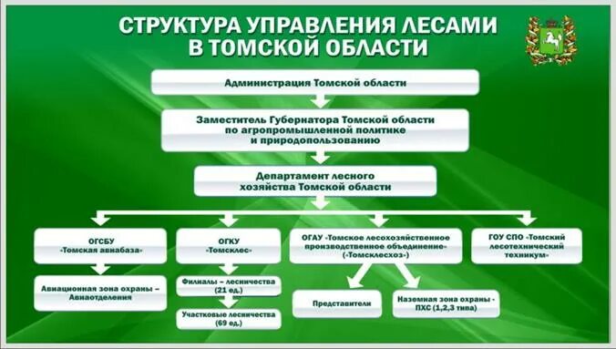 Территориальное управление лесного