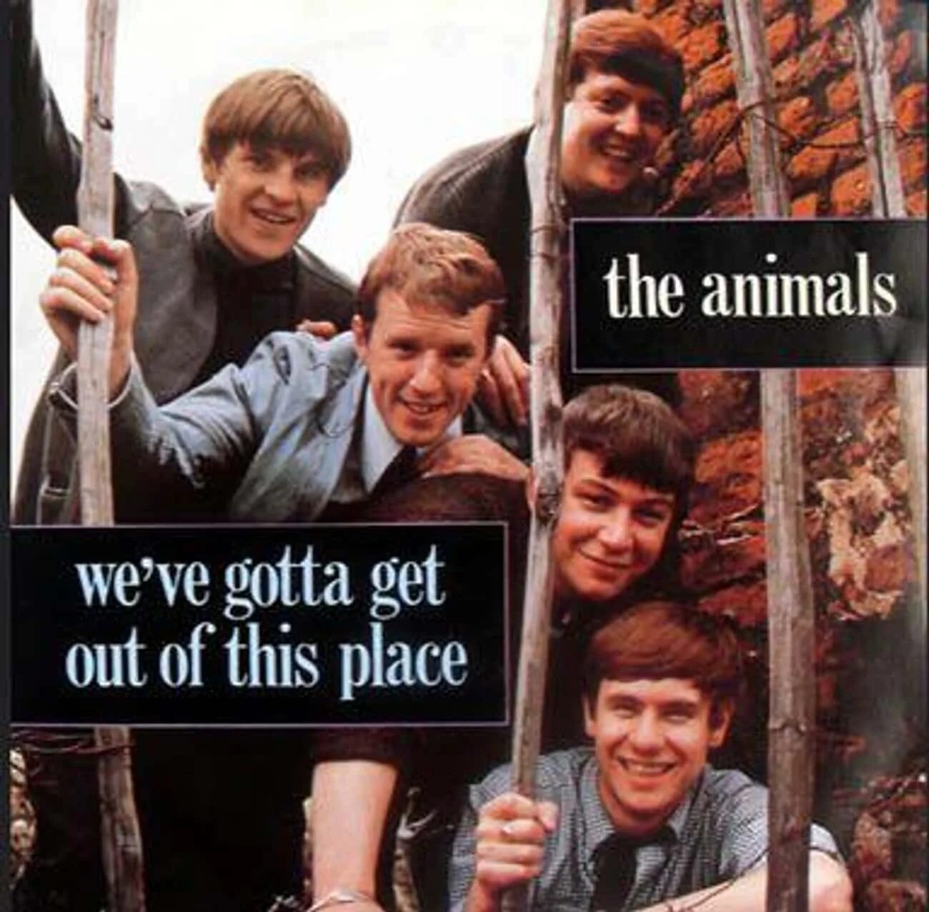 Текст песни we gotta get. The animals. Animals we gotta get out of this place. The animals группа обложка. The animals 1963.