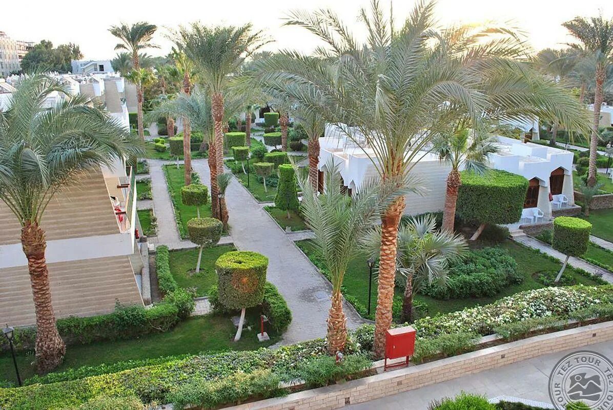 Zya regina resort aqua park хургада. Zya regina resort aqua park хургада. Отель regina resort & aqua park 4*. Regina swiss inn resort) 4*. Египет zya regina resort.