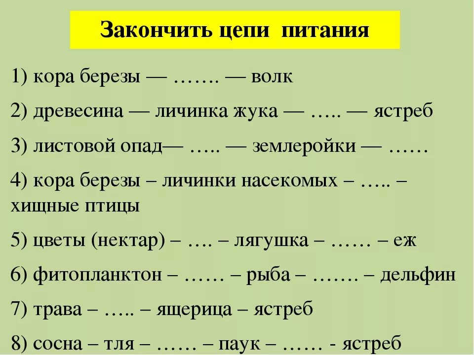 Цепь питания 9 класс