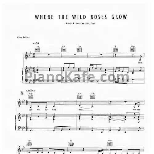 Nick cave wild rose. Where the Wild Roses grow Ноты. Where the Wild Roses grow Ноты для фортепиано. Nick Cave Wild Roses Ноты. Ник Кейв и Кайли Миноуг where the Wild Roses grow Ноты.