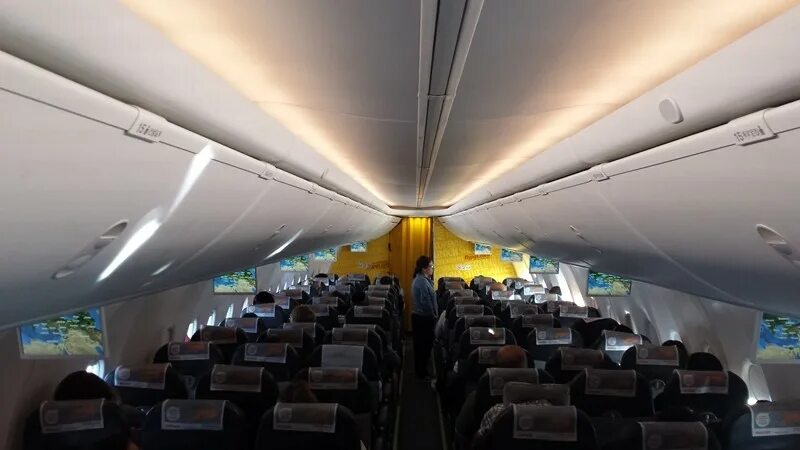А320 самолет салон. Airbus 320 pegasus airlines схема. Боинг 767 300 бизнес класс. Самолет 32n схема салона pegasus. Emb 190 самолет схема.