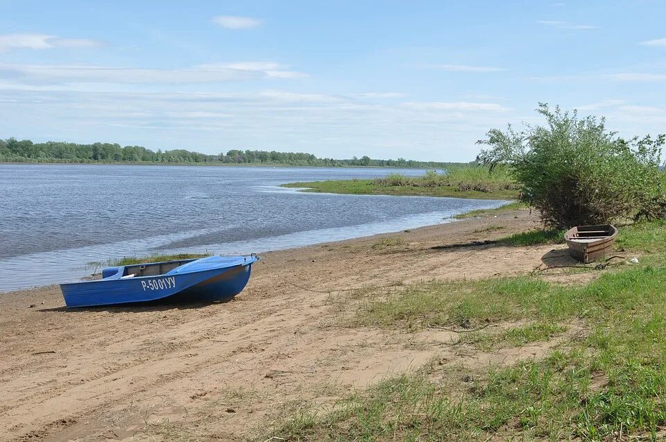 Уровень воды в реке кама. Паром на Каме в Удмуртии. Нерест на Каме в Удмуртии. Уровень воды в реках Кама. Домики для отдыха на Каме в Удмуртии.