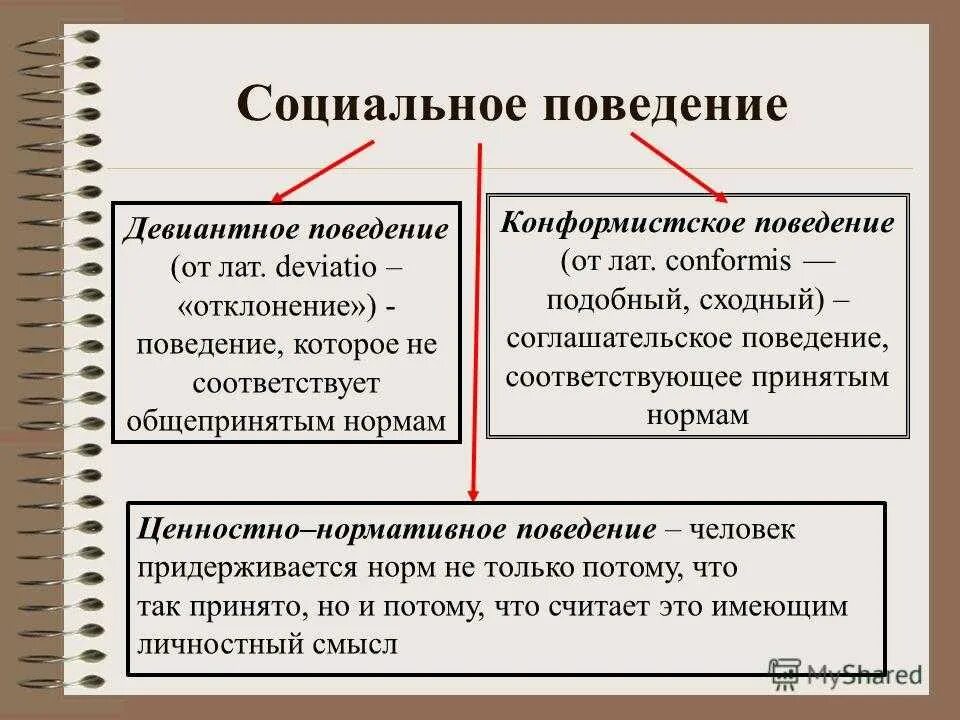 Социальное поведение функции. Социальное поведение. социальное поведение схема. формы социального поведения. социальное поведение это в обществознании.