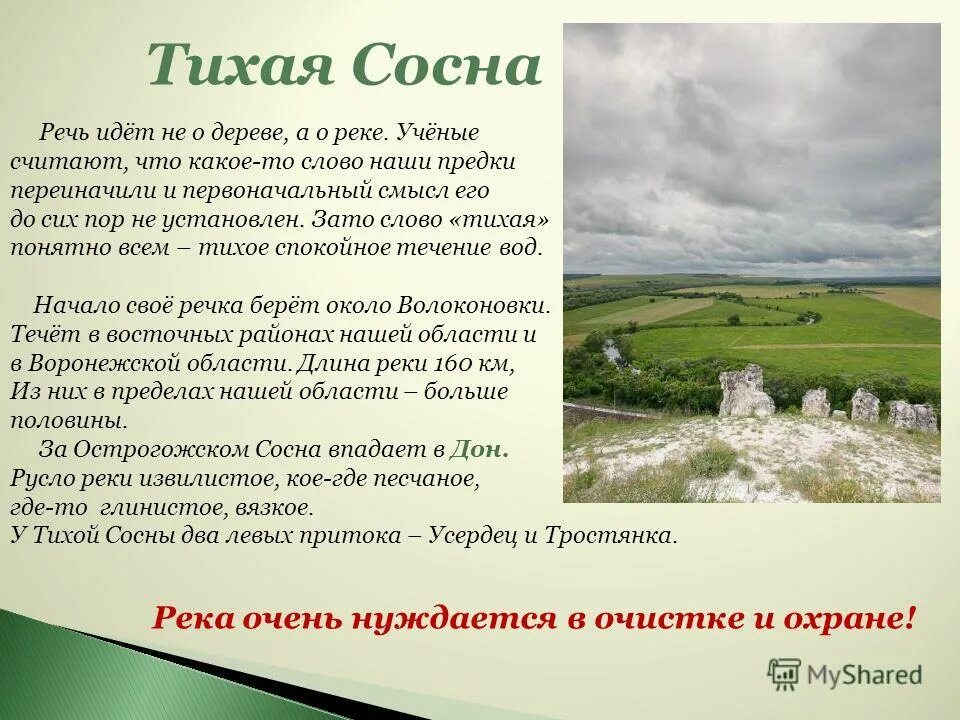 О какой реке в рассказе идет речь. Река Тихая сосна Белгородской области. Река Тихая сосна Белгородской области описание. Исток реки Тихая сосна Белгородской области. Река Тихая сосна Воронежская область.