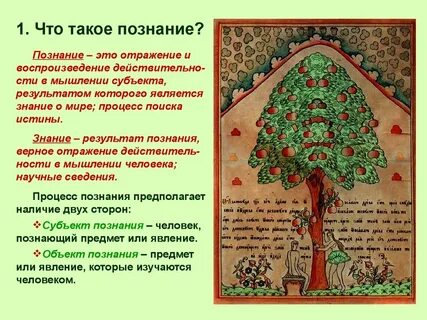 Знание и познание связь