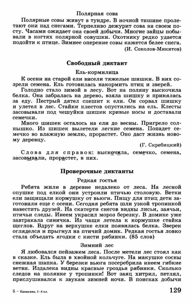 Диктант 4 класс по русскому языку редкая гостья. Диктант редкая гостья. Диктант редкая гостья четвёртый класс. Диктант 4 класс диктант. Текст диктанта зимой