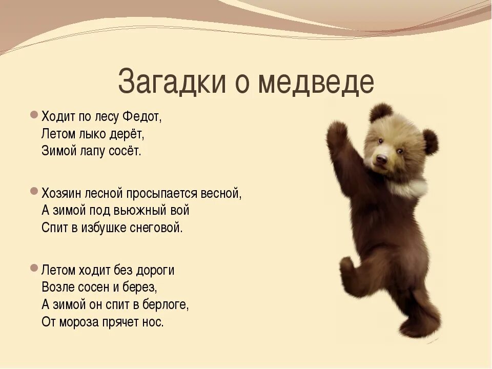 Загадка про медведя для детей 4 5