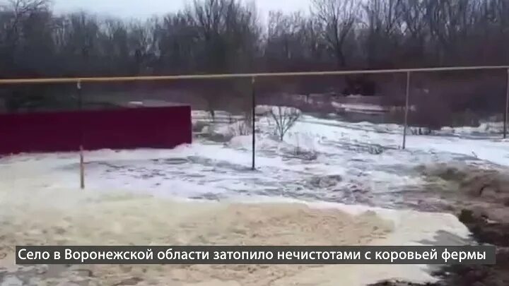 Погода новомарковка месяц. Погода новомарковка месяц. Насыпь фото. Погода новомарковка месяц. Прорыв дамбы.