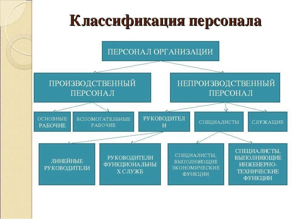 Основной персонал организации это. Классификация персонала организации. Классификация персонала организации менеджмент. Классификация персонала предприятия таблица. Категорий классификации трудового персонала фирмы?.